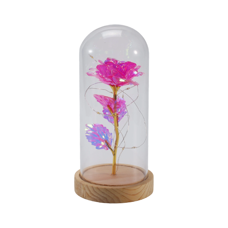 Galaxy Rose Glass Cloche Light (มี/ไม่มีตุ๊กตาหมี หลายสี)